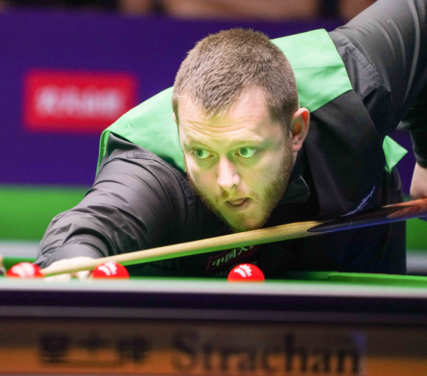 进场观众人 进场观众人